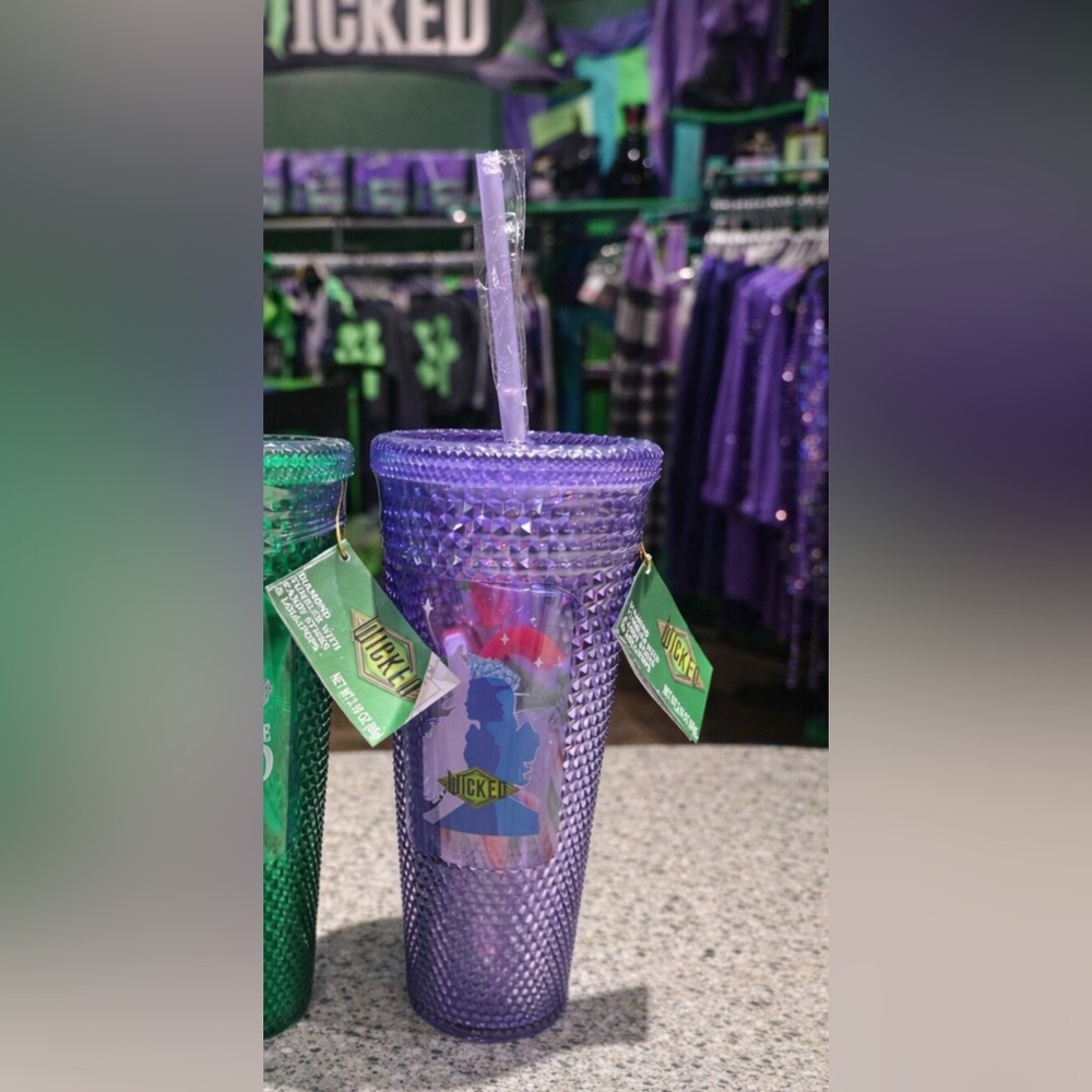 NWT-WICKED Unbreakable Tumbler Set Elphaba and Glinda - Picture 2 of 7